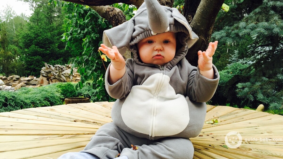 Bébé prénom Steffy