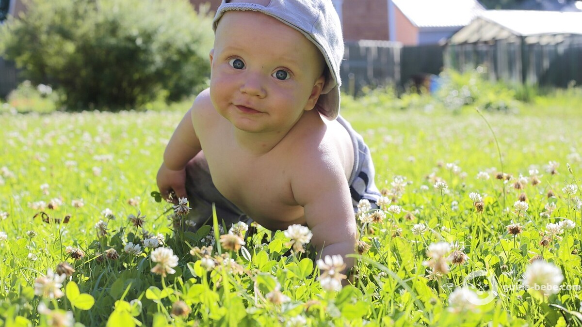 Bébé prénom Mathieu