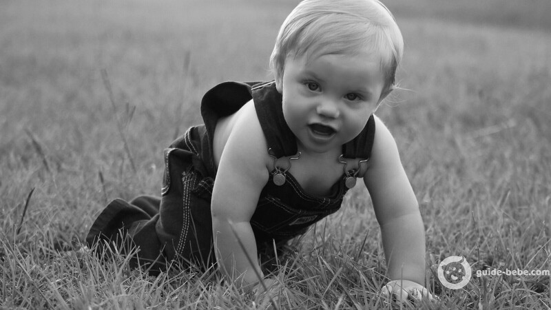 Bébé prénom HARVEY