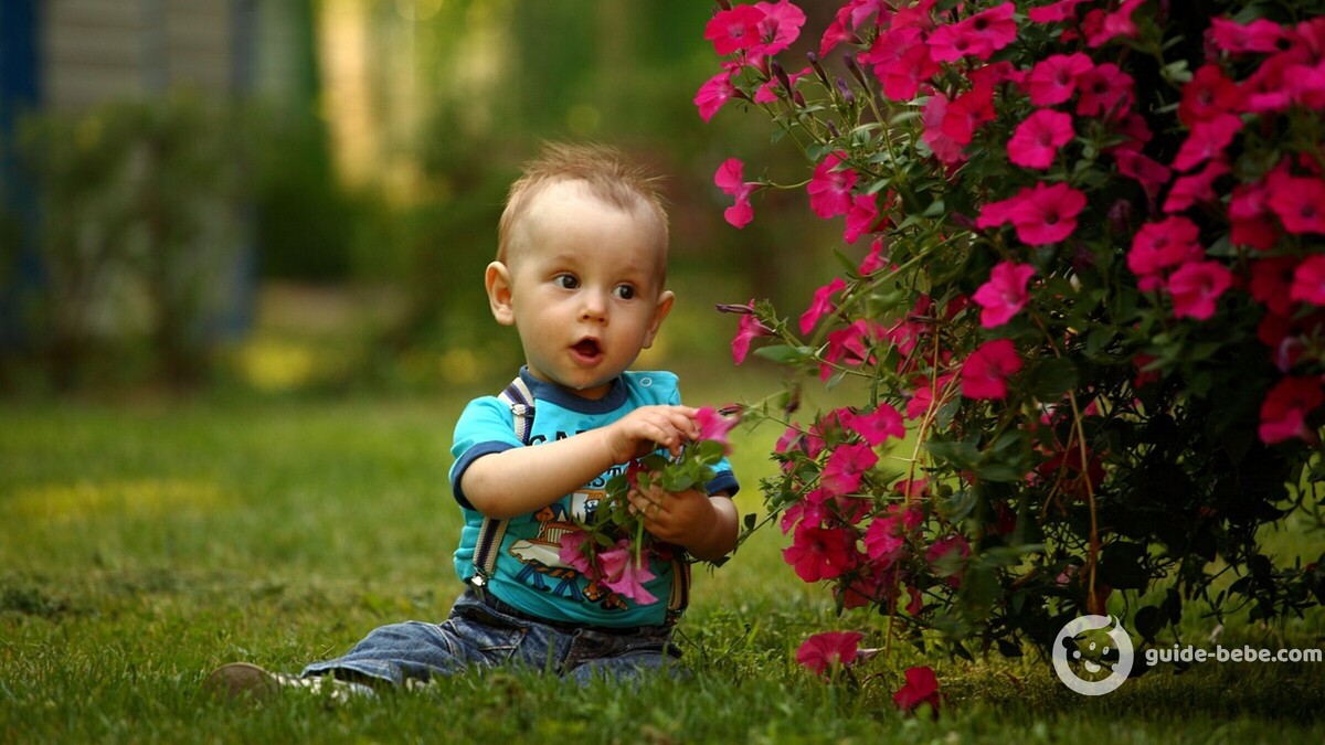 Bébé prénom Emile