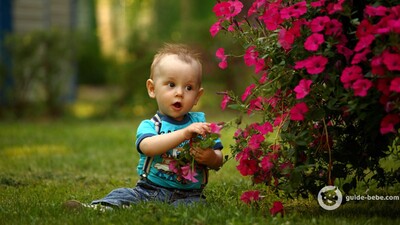 Bébé prénom ZELIE