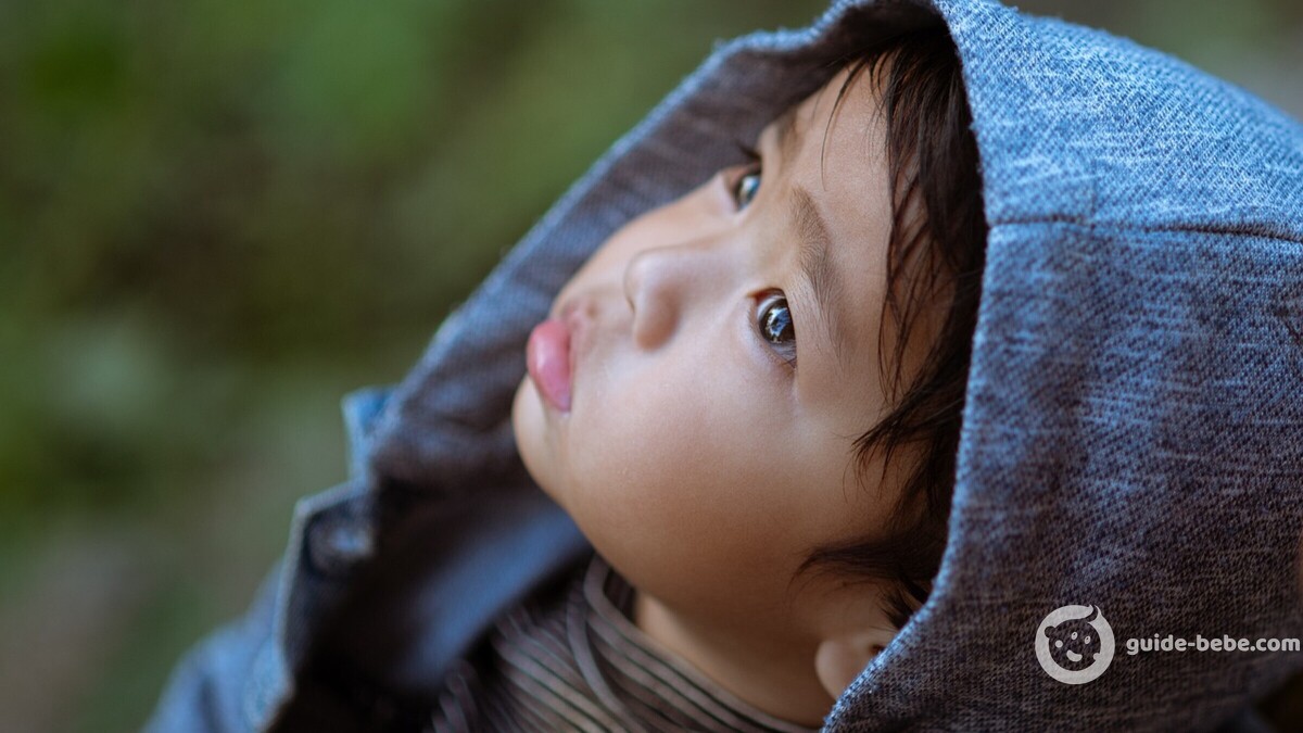 Bébé prénom Robin