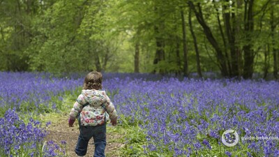 Bébé prénom ARCHIE