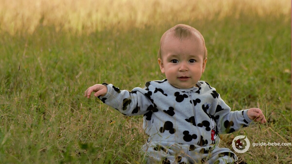 Bébé prénom Sylvain