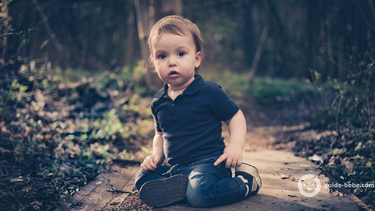 Bébé prénom Hervé