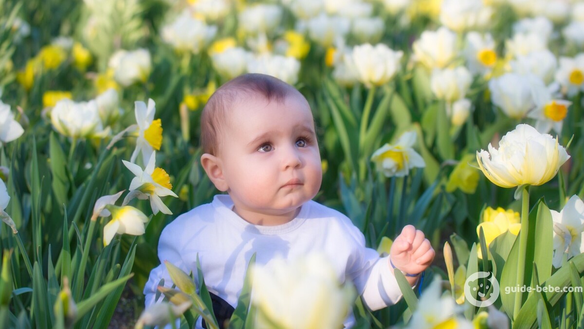 Bébé prénom Jacky